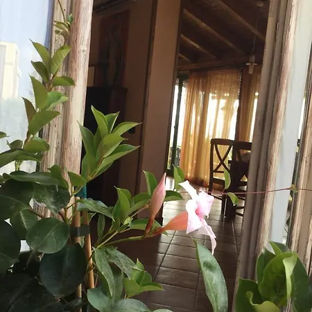 Holiday home Colle Dei Rustici