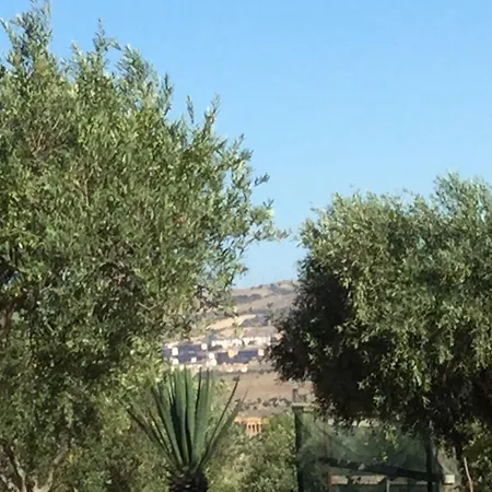 Colle Dei Rustici